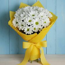 Букет цветов из:  Хризантемы в Октябрьский Волгоградской области
