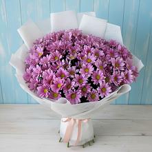 Букет цветов из:  Хризантемы в Октябрьский Волгоградской области