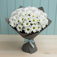 Букет цветов из:  Хризантемы в Октябрьский Волгоградской области