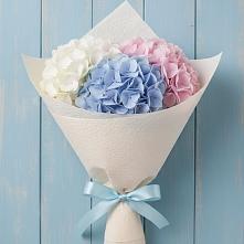 Букет цветов из:  Гортензия в Октябрьский Волгоградской области