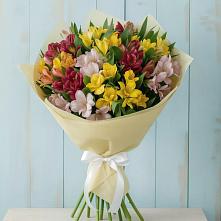 Букет цветов из:  Альстромерии в Октябрьский Волгоградской области