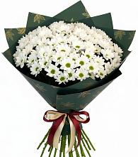 Букет цветов из:  Хризантемы в Октябрьский Волгоградской области
