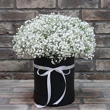 Цветочная композиция из Гипсофила в шляпной коробке в Октябрьский Волгоградской области