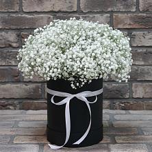 Цветочная композиция из Гипсофила в шляпной коробке в Октябрьский Волгоградской области