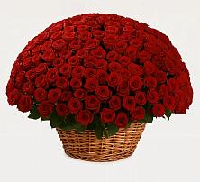 Премиум букет из: Розы в Октябрьский Волгоградской области