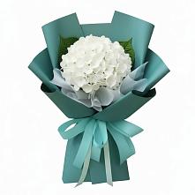 Букет цветов из:  Гортензия в Октябрьский Волгоградской области